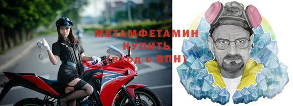 прущие грибы Каменск-Шахтинский